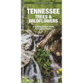 Tennessee Trees & Wildflowers