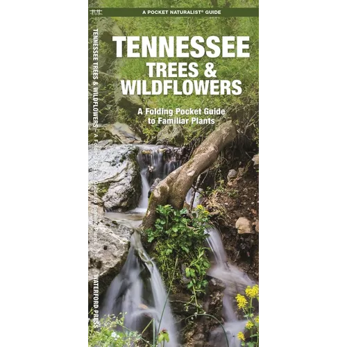 Tennessee Trees & Wildflowers