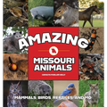 Amazing Missouri Animals