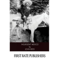 Insurgent Mexico