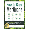 How to Grow Marijuana: The Easiest Guide to Growing Weed