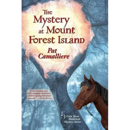 The Mystery at Mount Forest Island