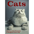 Cats: 500 Purr-Fect Portraits to Brighten Your Day