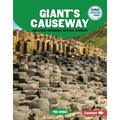 Giant's Causeway and Other Incredible Natural Wonders