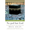No god but God: The Origins, Evolution, and Future of Islam