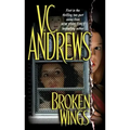 Broken Wings