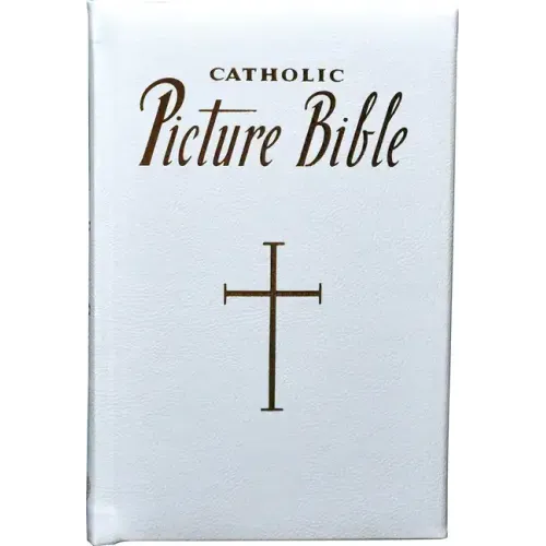 New Catholic Picture Bible: Popular Stories from the Old and New Testaments