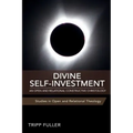 Divine Self-Investment: An Open and Relational Constructive Christology
