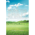 A Productive Spirit: An Analytical Approach to Investing in Your Life