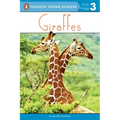 Giraffes