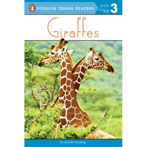 Giraffes
