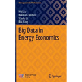 Big Data in Energy Economics