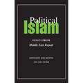 Political Islam: Essays from Middle East Report