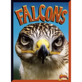 Falcons