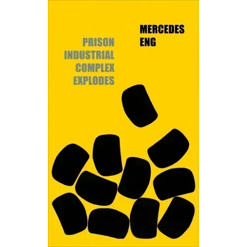Prison Industrial Complex Explodes