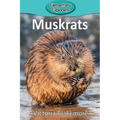 Muskrats