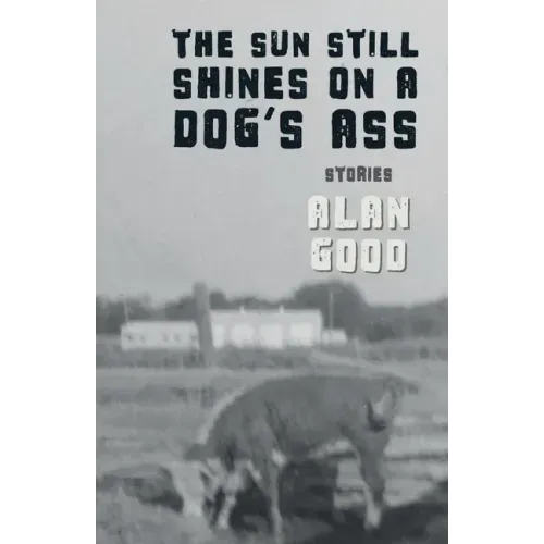 The Sun Still Shines on a Dog's Ass