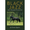 Black Jazz: Julie's Beautiful Friesian Colt