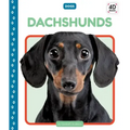 Dachshunds