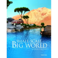 Small Scale, Big World: The Culture of Mini Crafts