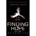 Finding Hope in the Afterlife: An Honest Account of My Spiritual Journey and Afterlife Research