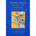Druids Bards Satirists And Enchanters: In Early Irish Literature