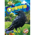 Crows