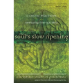 The Soul's Slow Ripening: 12 Celtic Practices for Seeking the Sacred