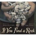 If You Find a Rock