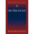 Abingdon Old Testament Commentaries: Deuteronomy