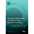 Quantum Information Concepts in Open Quantum Systems