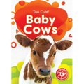 Baby Cows