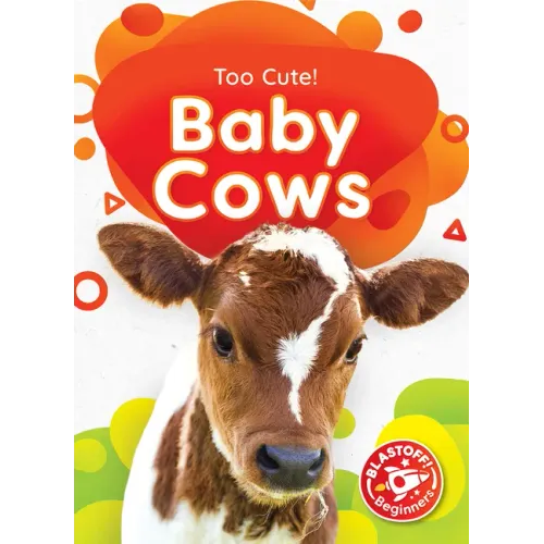 Baby Cows