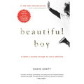 Beautiful Boy: A Father's Journey Through His Son's Addiction