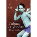 Cultural Hybridity
