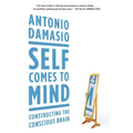 Self Comes to Mind: Constructing the Conscious Brain