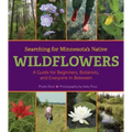 Searching for Minnesota's Native Wildflowers: A Guide for Beginners, Botanists, and Everyone in Between