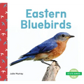 Eastern Bluebirds