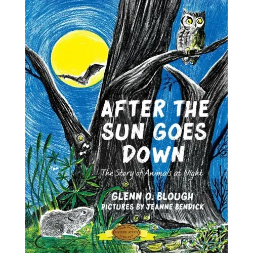 After the Sun Goes Down