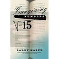 Imagining Numbers: (Particularly the Square Root of Minus Fifteen)