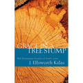 Grace in a Tree Stump: Old Testament Stories of God's Love