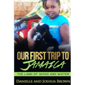 Our First Trip To Jamaica - land of wood and water
