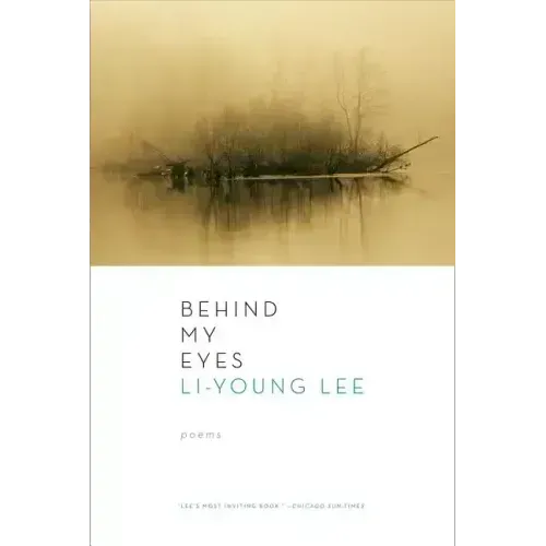 Behind My Eyes