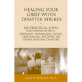 Healing Your Grief When Disaster Strikes: 100 Practical Ideas for Coping After a Tornado, Hurricane, Flood, Earthquake, Wildfire, or Other Natural Dis