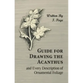 Guide for Drawing the Acanthus, and Every Description of Ornamental Foliage