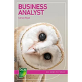 Business Analyst: Careers in Business Analysis
