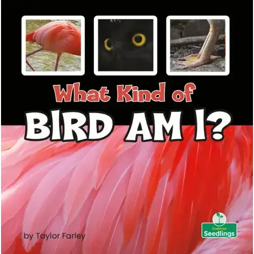 What Kind of Bird Am I?