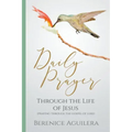 Daily Prayer through the Life of Jesus (Praying through the Gospel of Luke)