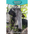 Anteaters