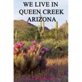 We Live In Queen Creek Arizona: If it were not for the Mafia we would most likely not have moved to Queen Creek
